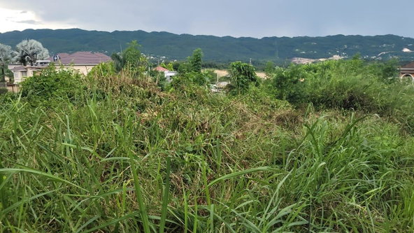 Sixth image of 393 & 394 Phoenix Drive in Westgate Hills, St. James, Jamaica - property is For Sale