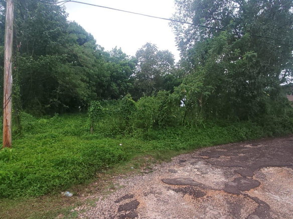 Seventh image of Royal Flat , Manchester in Royal Flat, Manchester, Jamaica - property is For Sale