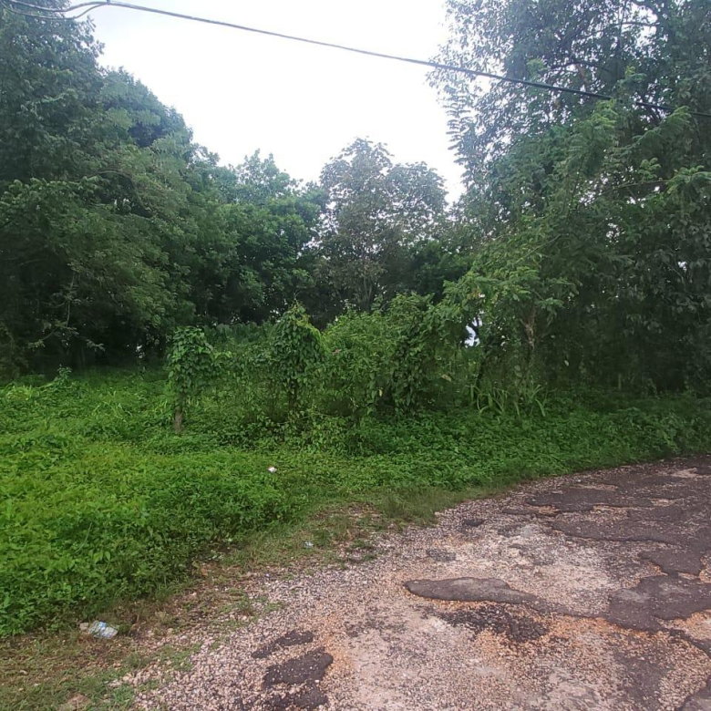 Seventh image of Royal Flat , Manchester in Royal Flat, Manchester, Jamaica - property is For Sale