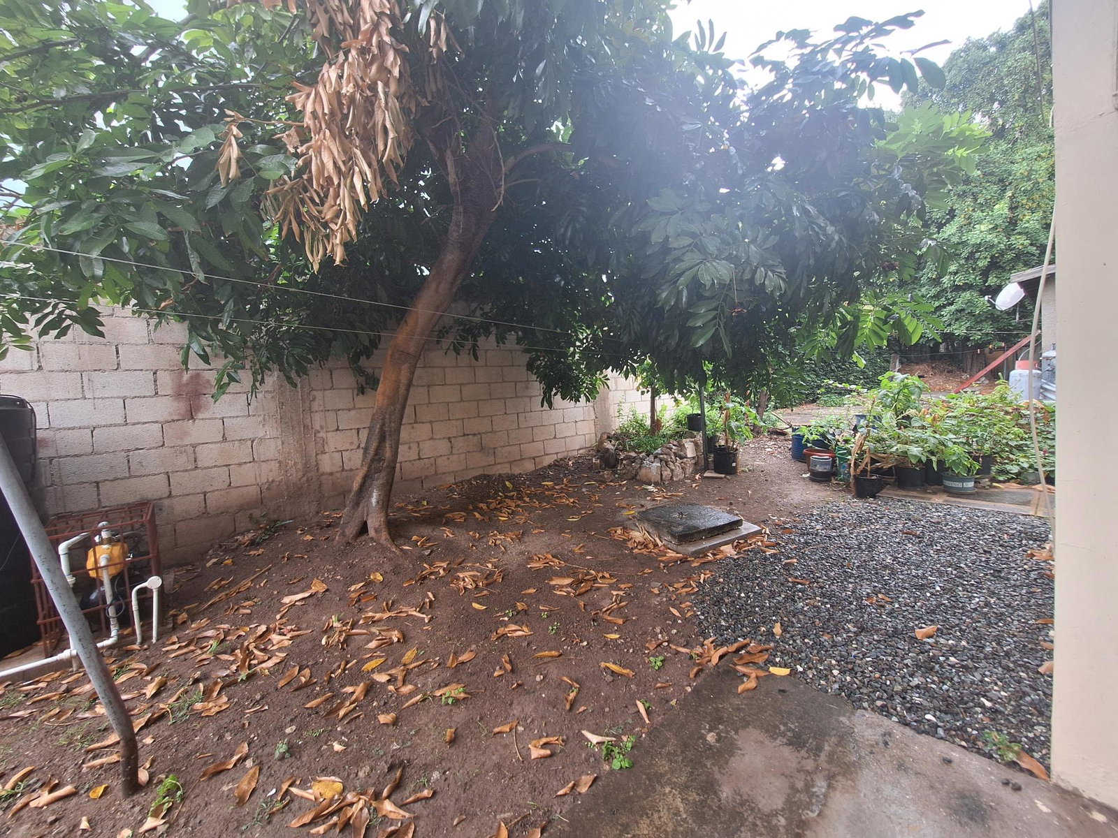 Twenty-Second image of 1-3 Seaton Hurst Drive in Kingston 5, St. Andrew, Jamaica - property is For Rent