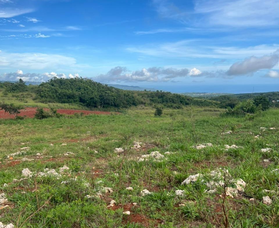 Second image of Berlin Road in Berlin, St. Elizabeth, Jamaica - property is For Sale
