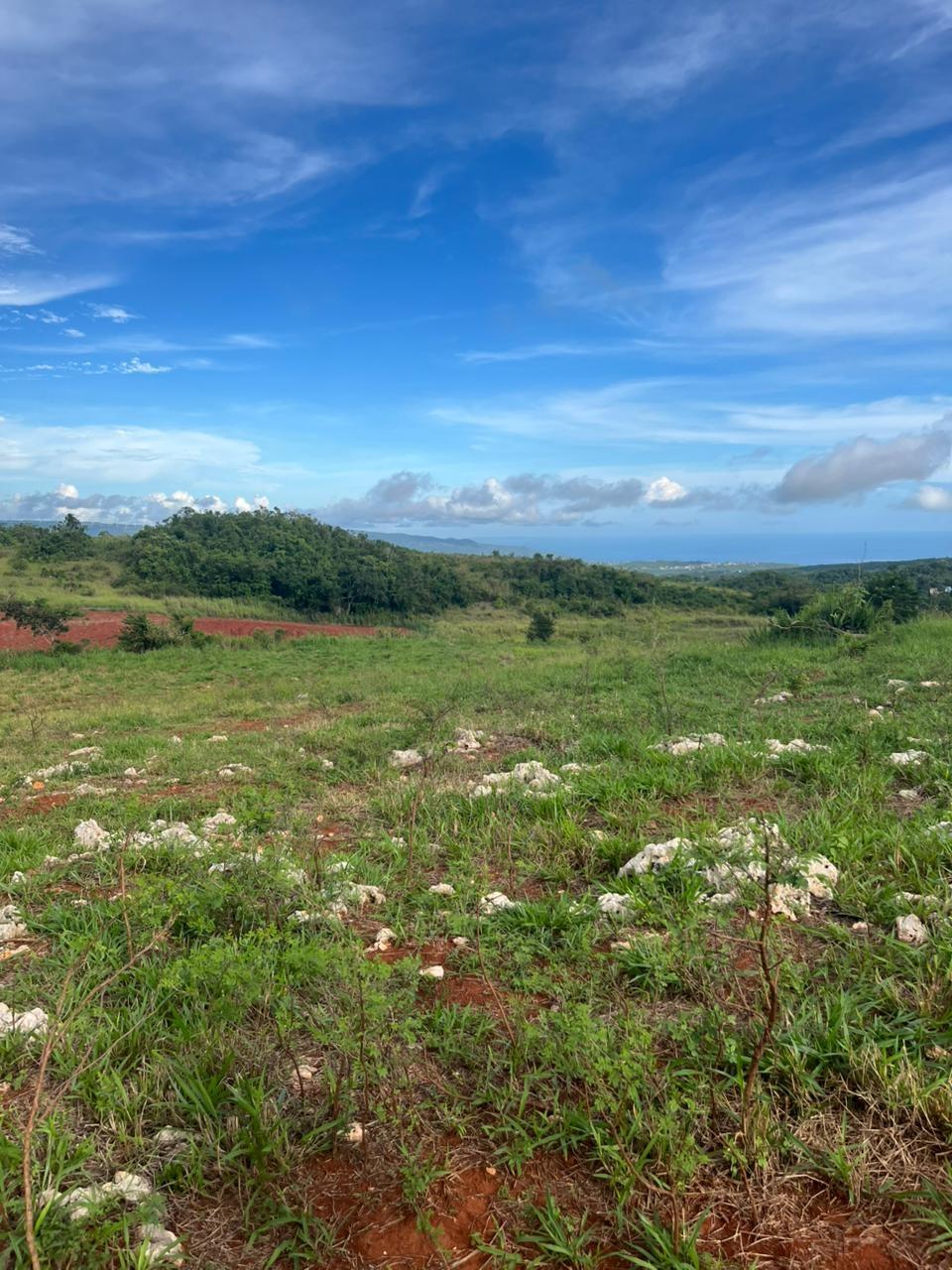 Second image of Berlin Road in Berlin, St. Elizabeth, Jamaica - property is For Sale