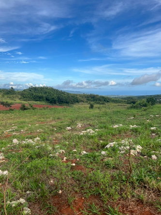 Second image of Berlin Road in Berlin, St. Elizabeth, Jamaica - property is For Sale