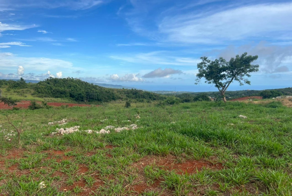 Third image of Berlin Road in Berlin, St. Elizabeth, Jamaica - property is For Sale