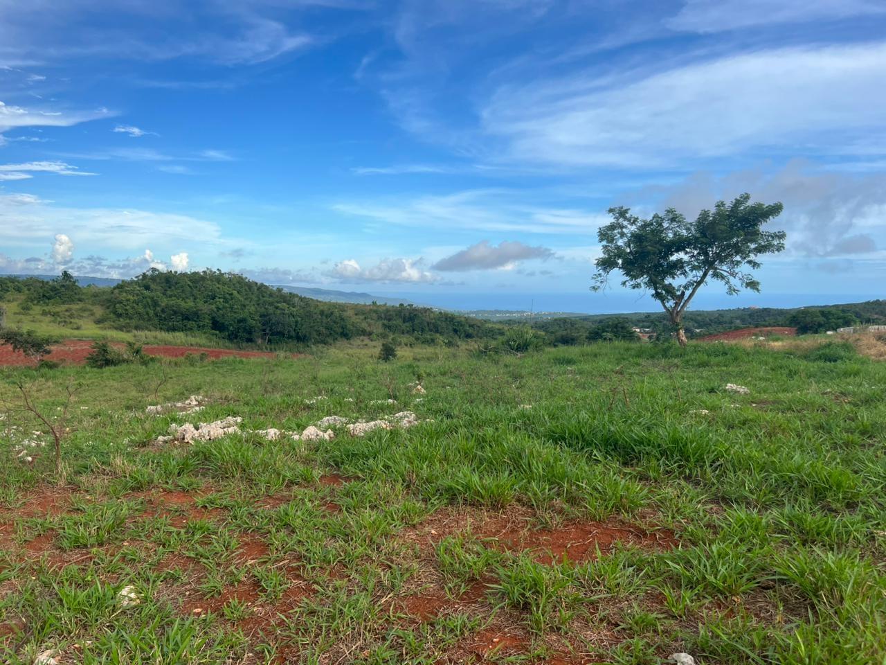 Third image of Berlin Road in Berlin, St. Elizabeth, Jamaica - property is For Sale