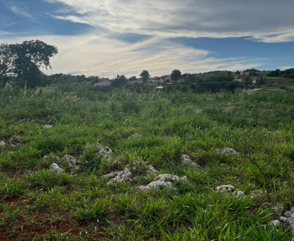 Fourth image of Berlin Road in Berlin, St. Elizabeth, Jamaica - property is For Sale