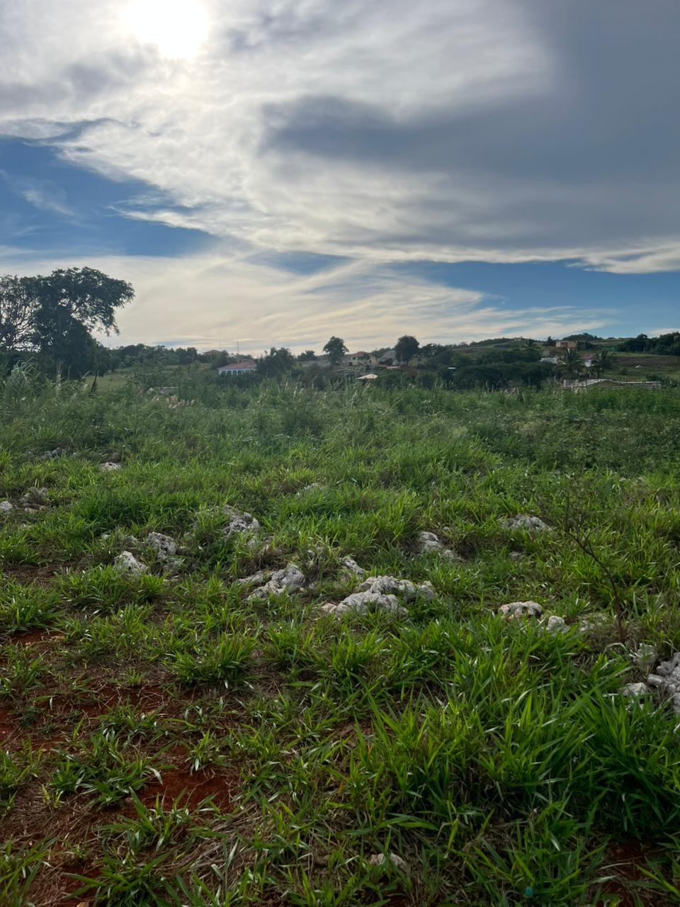 Fourth image of Berlin Road in Berlin, St. Elizabeth, Jamaica - property is For Sale