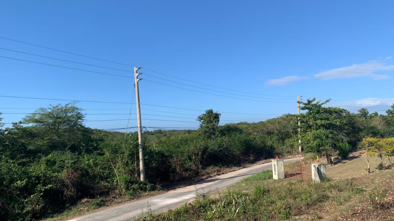Second image of Rosewell in Rosewell, Clarendon, Jamaica - property is For Sale