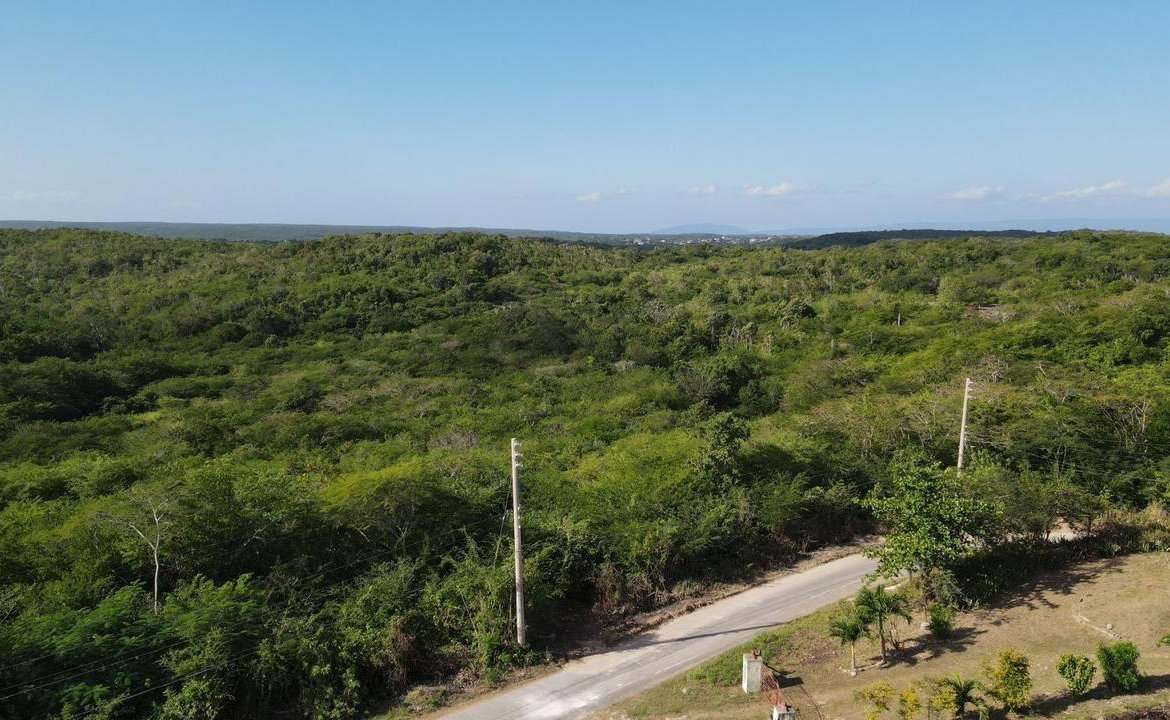 Fifth image of Rosewell in Rosewell, Clarendon, Jamaica - property is For Sale