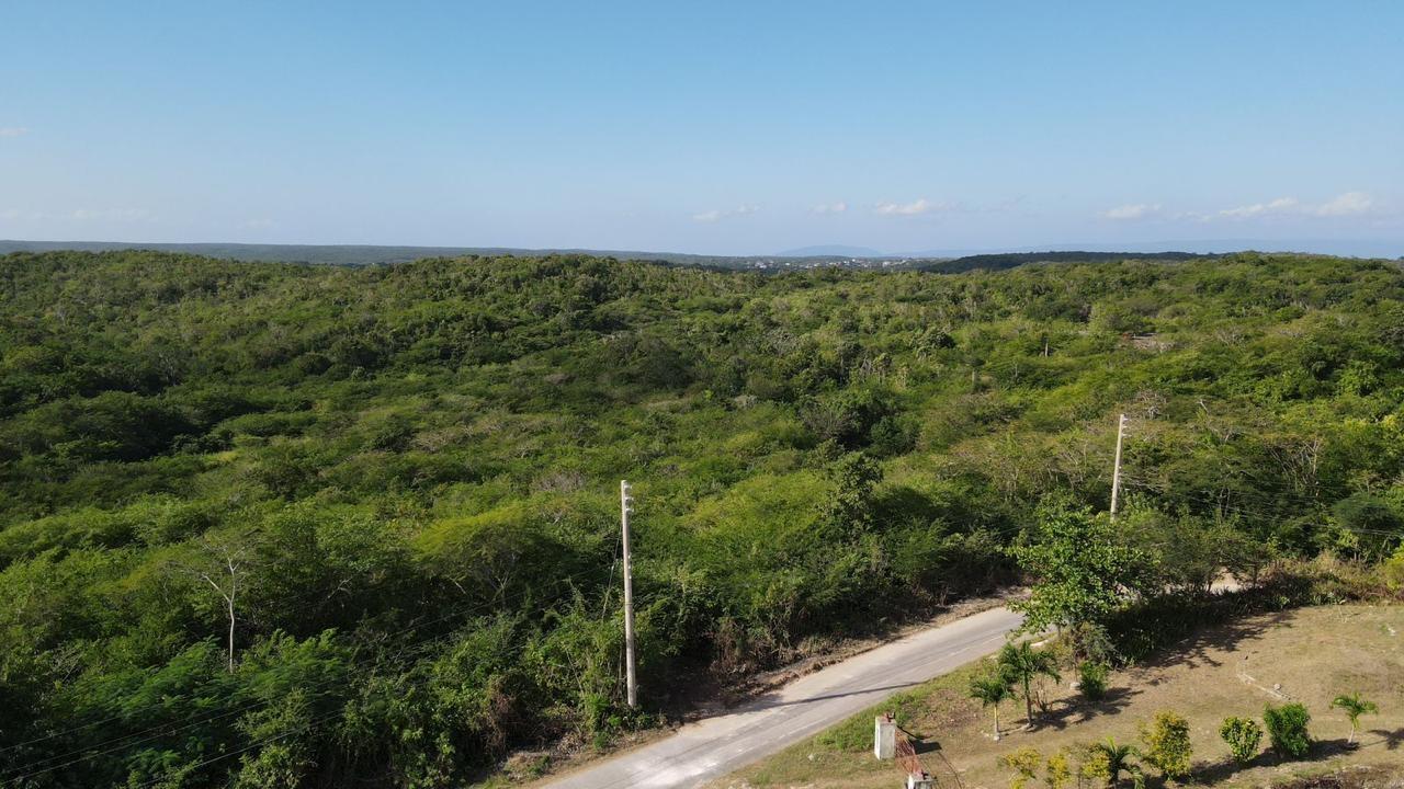 Fifth image of Rosewell in Rosewell, Clarendon, Jamaica - property is For Sale