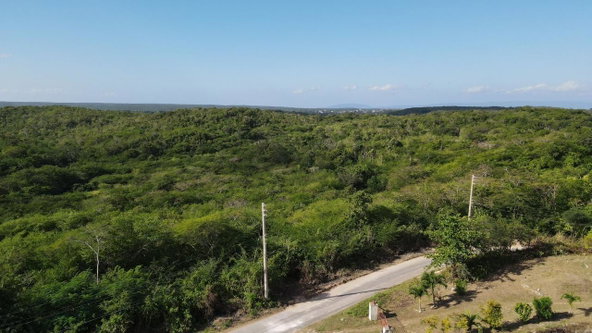 Fifth image of Rosewell in Rosewell, Clarendon, Jamaica - property is For Sale