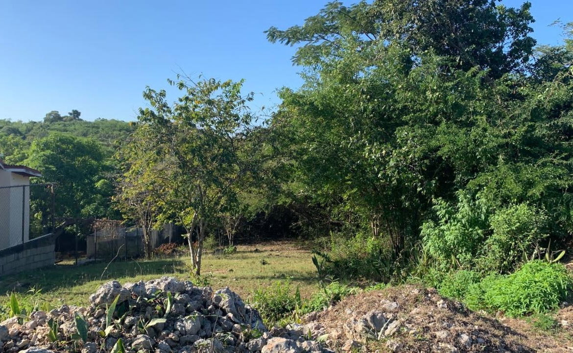 Sixth image of Rosewell in Rosewell, Clarendon, Jamaica - property is For Sale