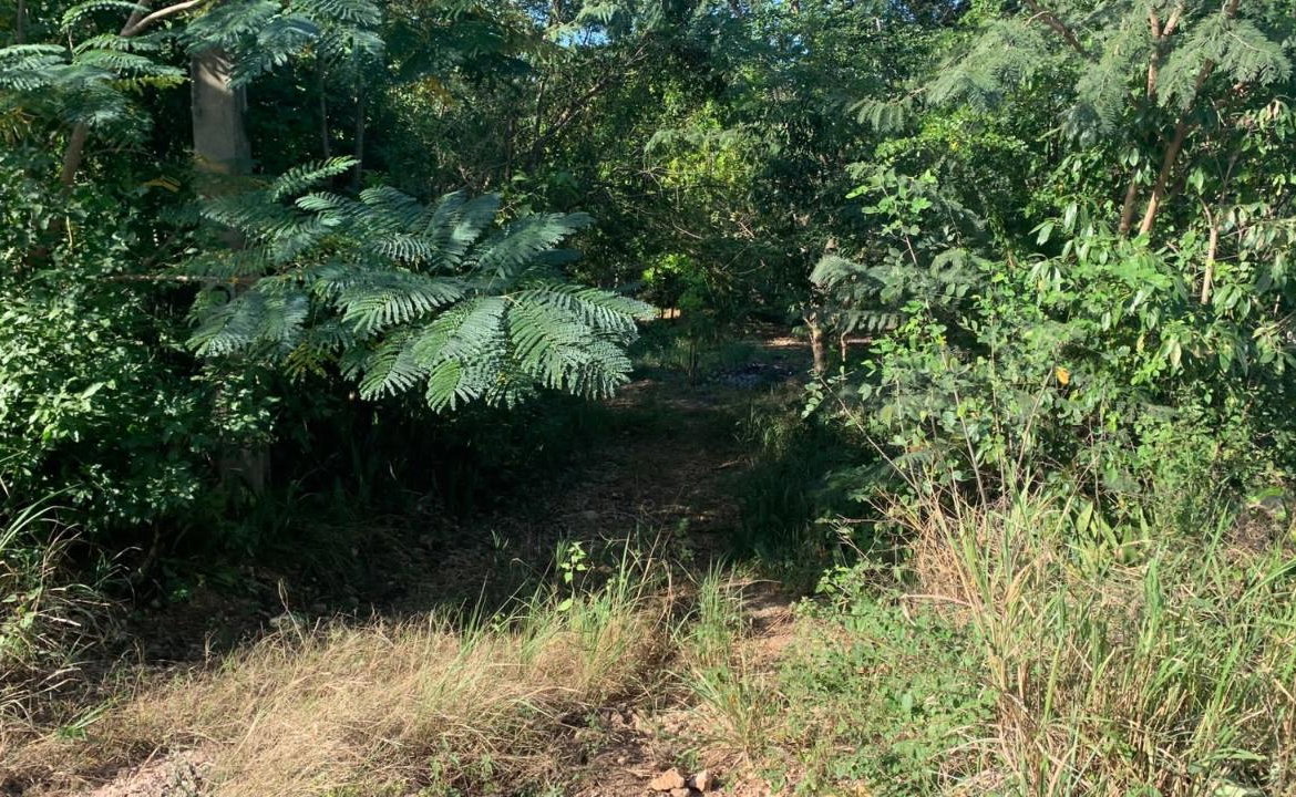 Seventh image of Rosewell in Rosewell, Clarendon, Jamaica - property is For Sale