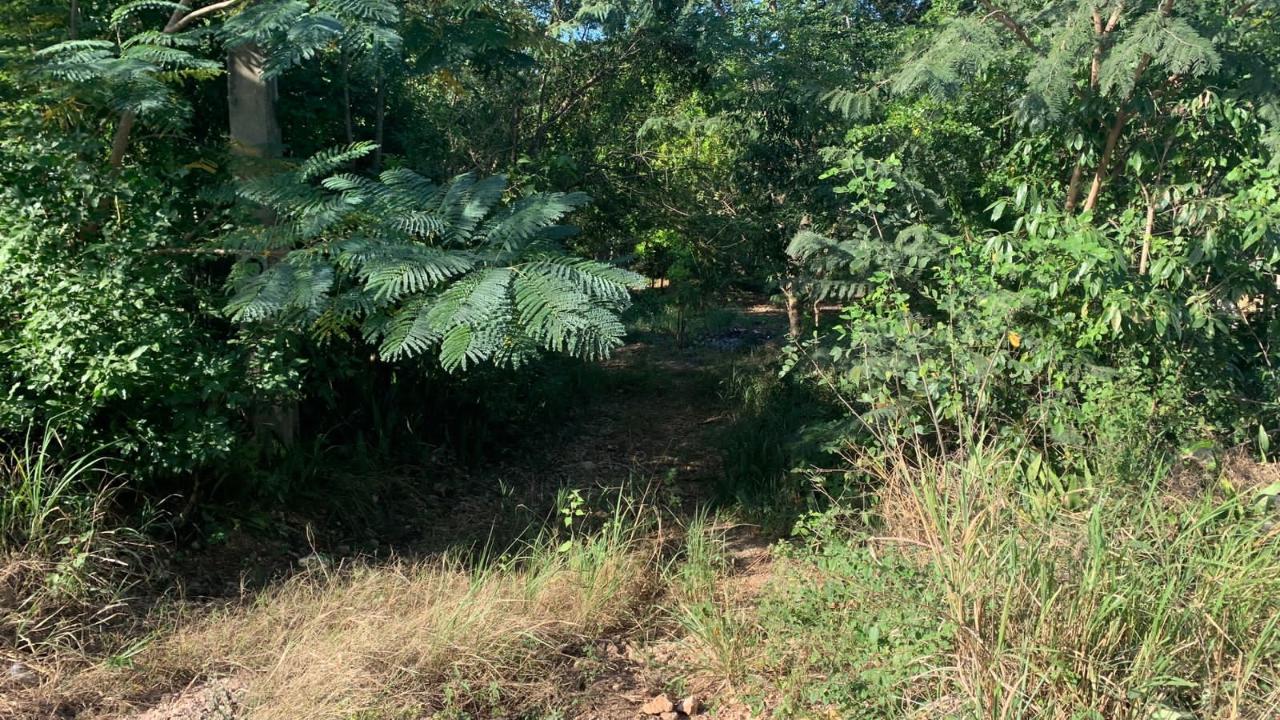 Seventh image of Rosewell in Rosewell, Clarendon, Jamaica - property is For Sale