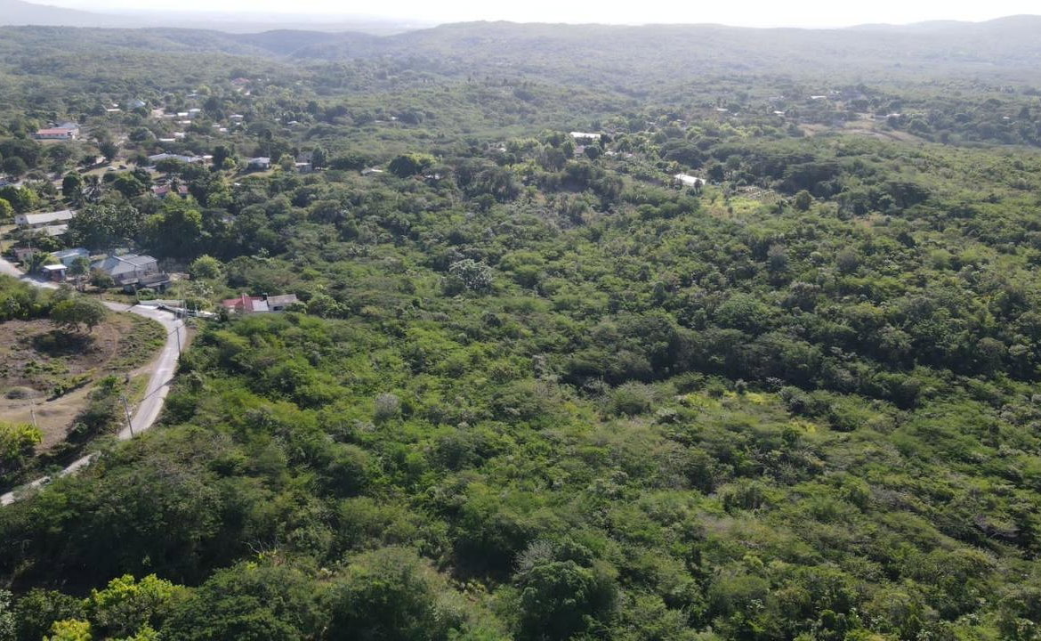 Eighth image of Rosewell in Rosewell, Clarendon, Jamaica - property is For Sale
