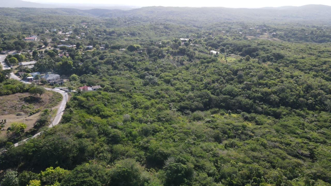Eighth image of Rosewell in Rosewell, Clarendon, Jamaica - property is For Sale
