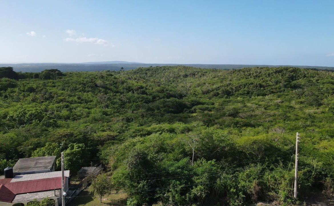 Ninth image of Rosewell in Rosewell, Clarendon, Jamaica - property is For Sale