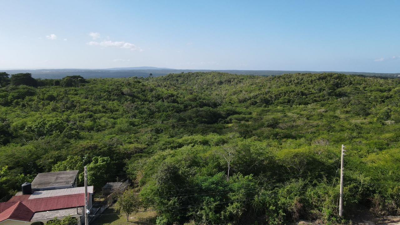 Ninth image of Rosewell in Rosewell, Clarendon, Jamaica - property is For Sale