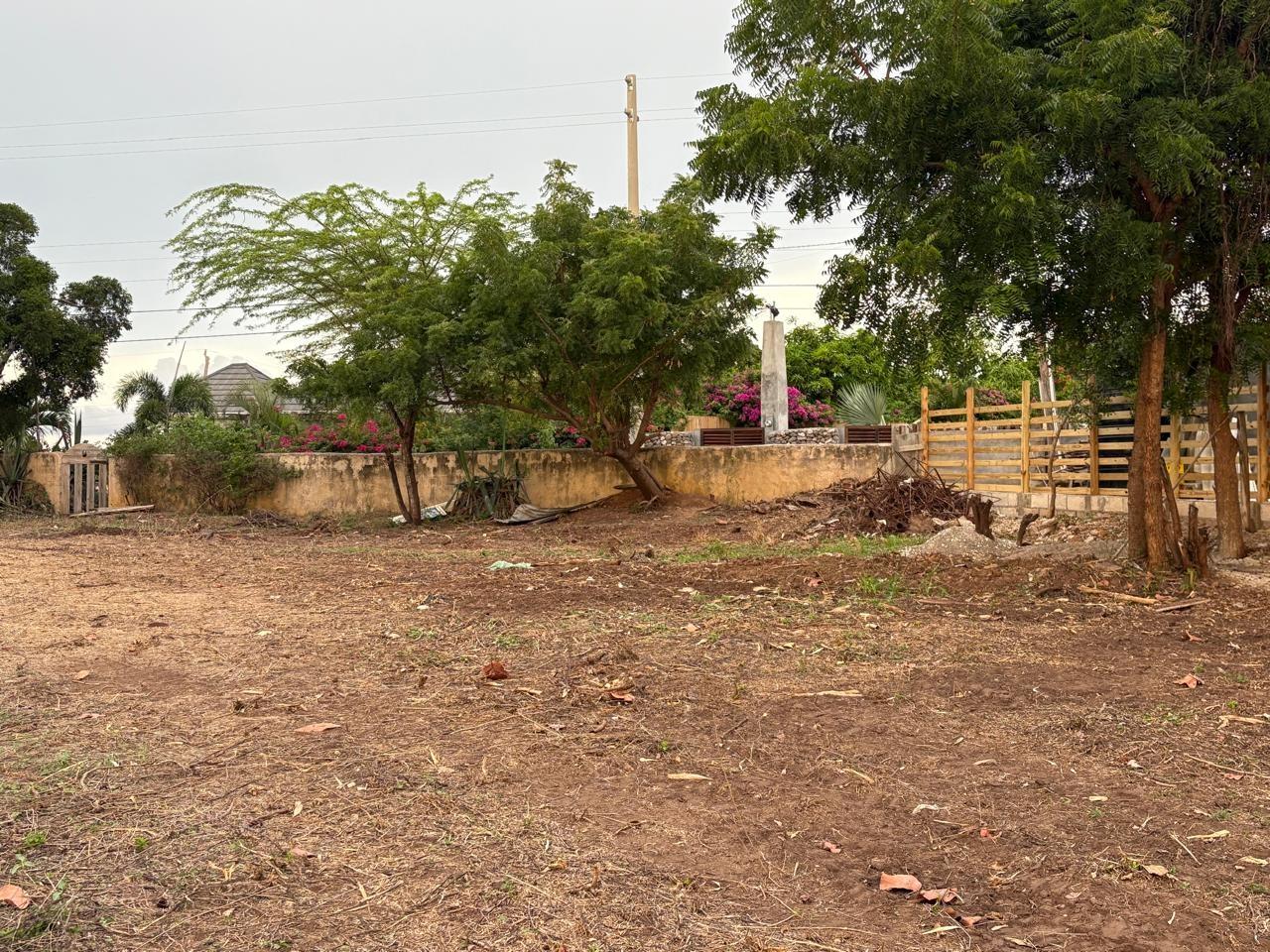 Residential-Lot-For-Sale-in-Old-Wharf-Treasure-Beach-St.-Elizabeth-Jamaica Eighth image of Lot 24 Old Wharf, Treasure Beach in Treasure Beach, St. Elizabeth, Jamaica - property is For Sale