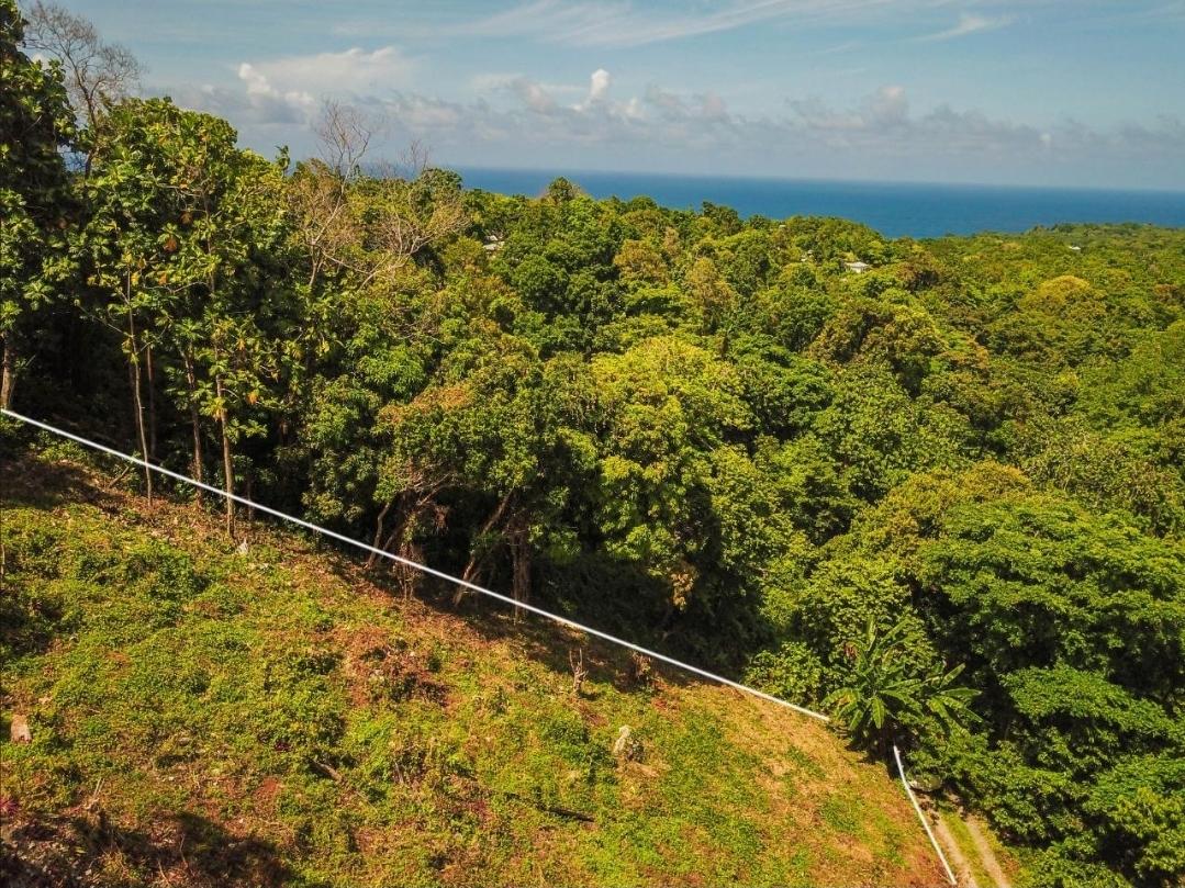 Residential-Lot-for-Rent-in-Islington-Portland-Jamaica-–-Caribbean-Sea-Views Second image of Islington District in PRIESTMAN RIVER, Portland, Jamaica - property is For Rent
