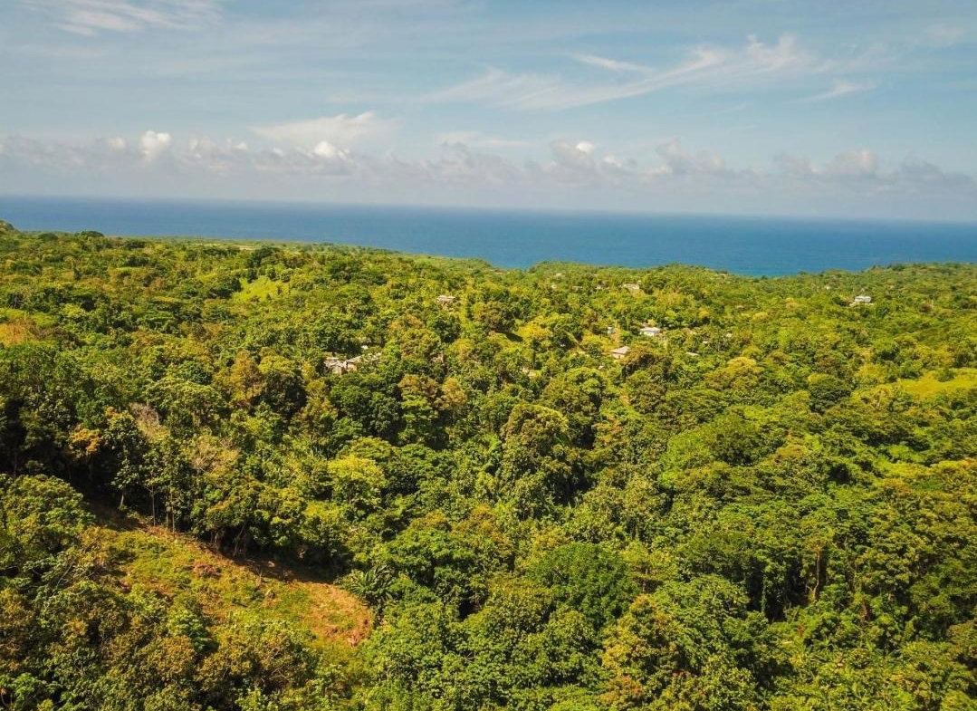Third image of Islington District in PRIESTMAN RIVER, Portland, Jamaica - property is For Rent