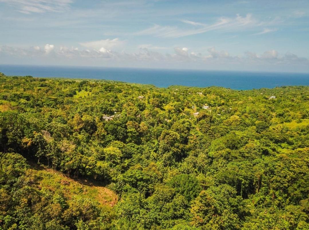 Residential-Lot-for-Rent-in-Islington-Portland-Jamaica-–-Caribbean-Sea-Views Third image of Islington District in PRIESTMAN RIVER, Portland, Jamaica - property is For Rent