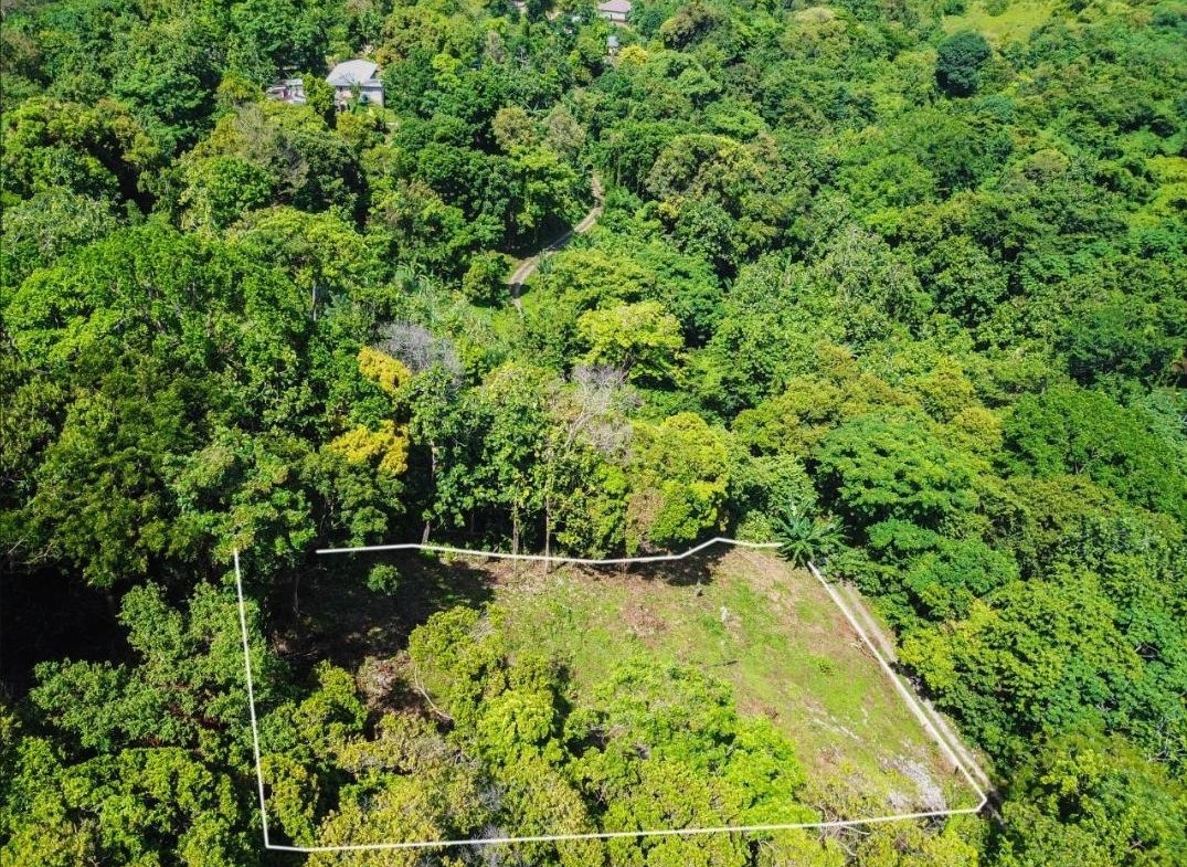 Fourth image of Islington District in PRIESTMAN RIVER, Portland, Jamaica - property is For Rent