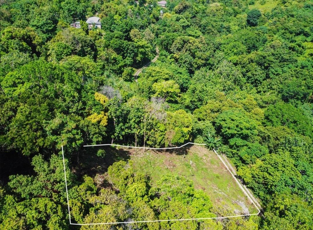 Residential-Lot-for-Rent-in-Islington-Portland-Jamaica-–-Caribbean-Sea-Views Fourth image of Islington District in PRIESTMAN RIVER, Portland, Jamaica - property is For Rent