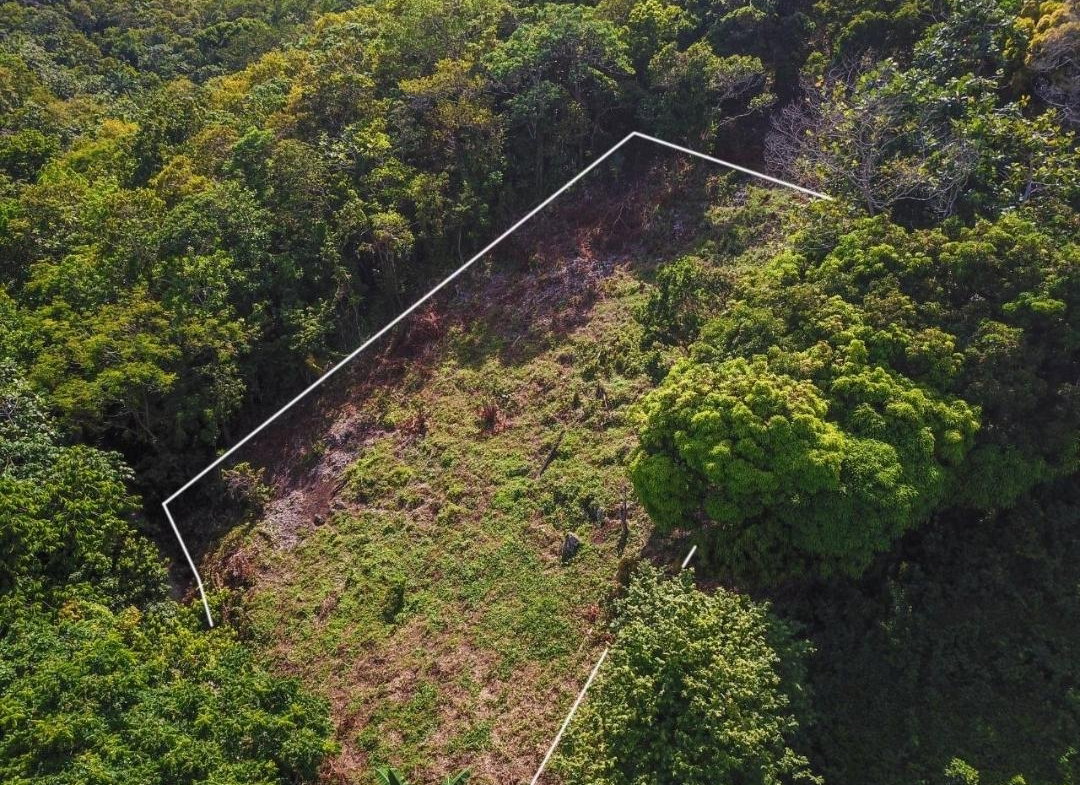Fifth image of Islington District in PRIESTMAN RIVER, Portland, Jamaica - property is For Rent