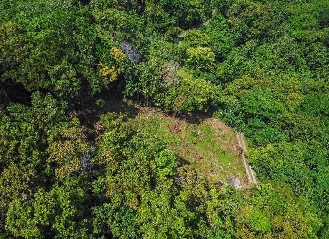 Sixth image of Islington District in PRIESTMAN RIVER, Portland, Jamaica - property is For Rent