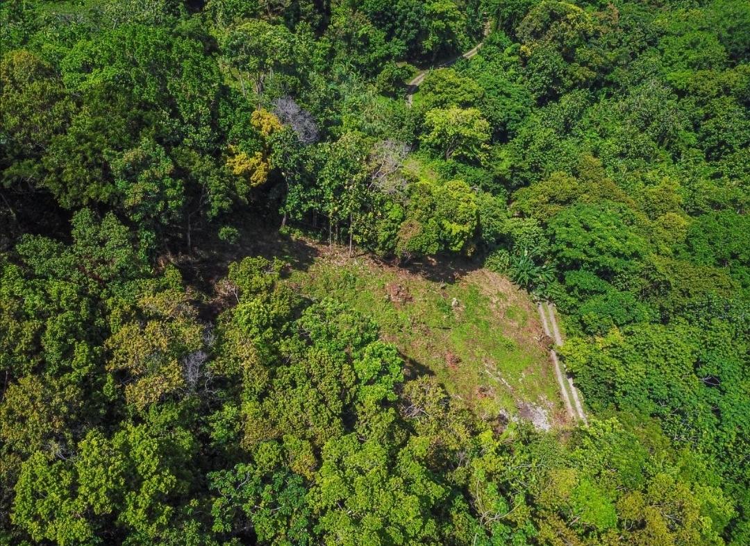 Residential-Lot-for-Rent-in-Islington-Portland-Jamaica-–-Caribbean-Sea-Views Sixth image of Islington District in PRIESTMAN RIVER, Portland, Jamaica - property is For Rent