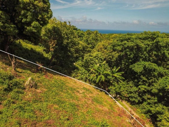 Residential Lot for Rent in Islington, Portland, Jamaica – Caribbean Sea Views 9 First image of Islington District in PRIESTMAN RIVER, Portland, Jamaica - property is For Rent