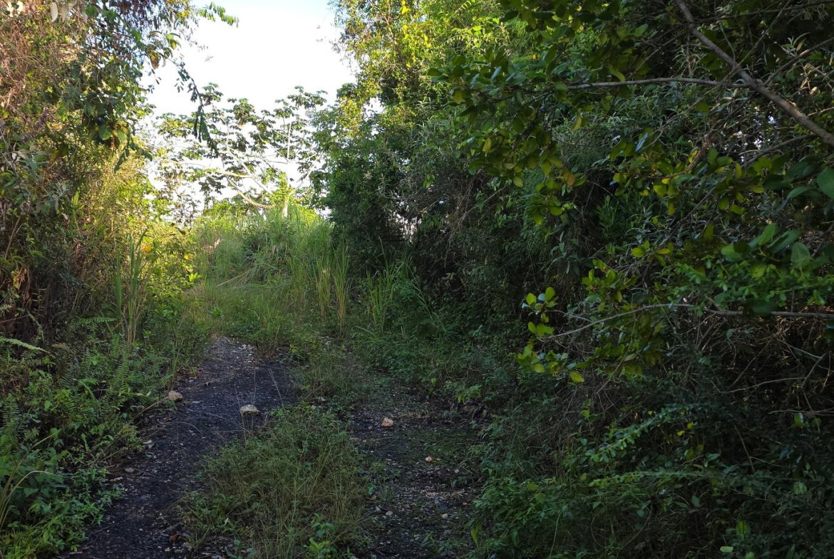 Second image of 22 Maverly Mountain in Red Hills, St. Andrew, Jamaica - property is For Sale