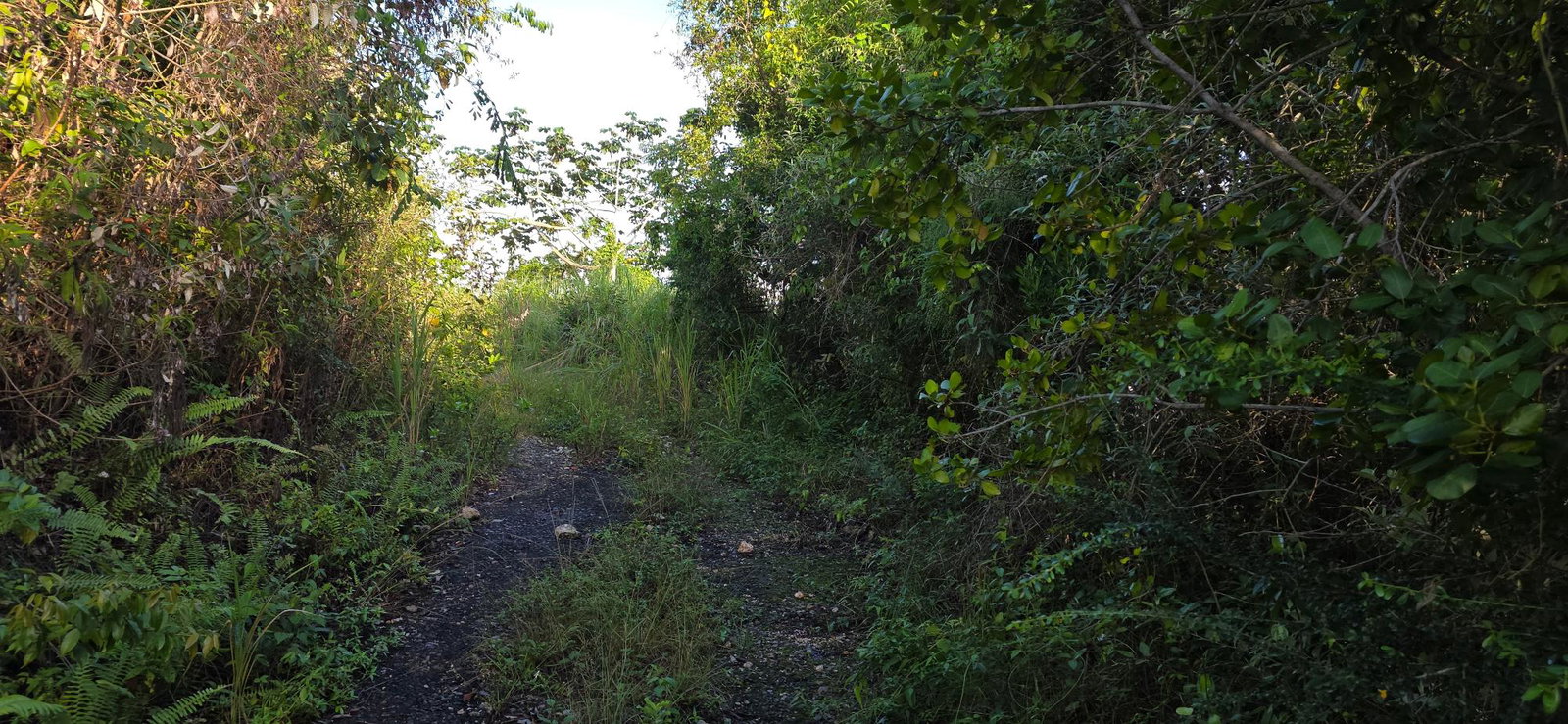 Second image of 22 Maverly Mountain in Red Hills, St. Andrew, Jamaica - property is For Sale