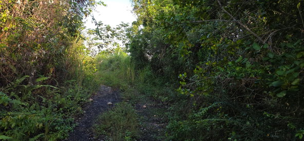 Second image of 22 Maverly Mountain in Red Hills, St. Andrew, Jamaica - property is For Sale