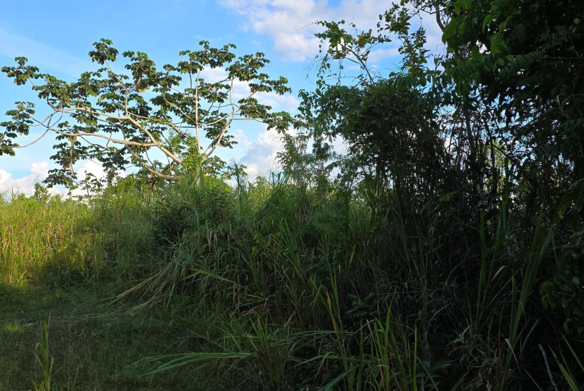Third image of 22 Maverly Mountain in Red Hills, St. Andrew, Jamaica - property is For Sale