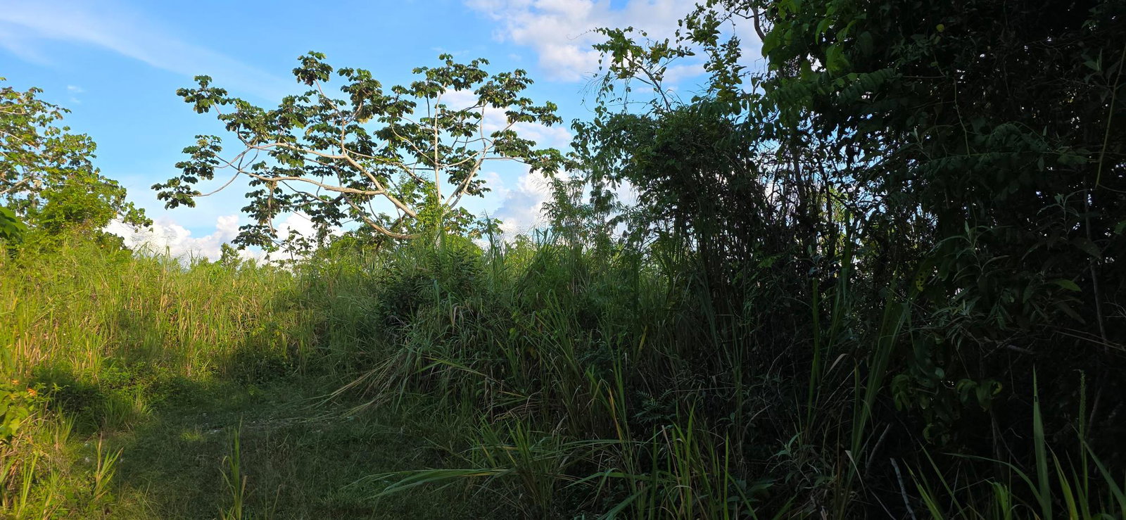 Third image of 22 Maverly Mountain in Red Hills, St. Andrew, Jamaica - property is For Sale