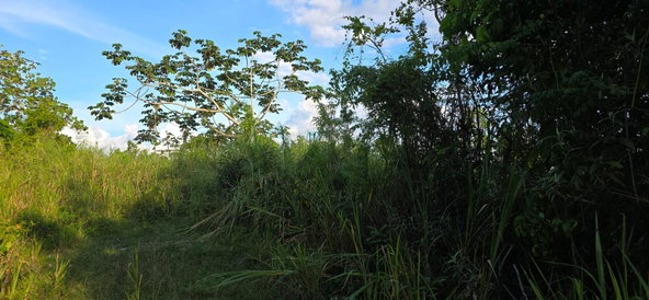 Third image of 22 Maverly Mountain in Red Hills, St. Andrew, Jamaica - property is For Sale