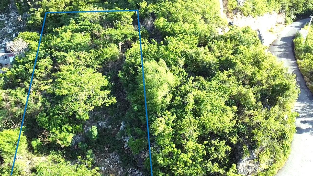 Residential-Lot-for-Sale-at-72-Tom-Cringle-Drive-St.-Andrew-Jamaica Eleventh image of 72 Tom Cringle Drive in Red Hills, St. Andrew, Jamaica - property is For Sale