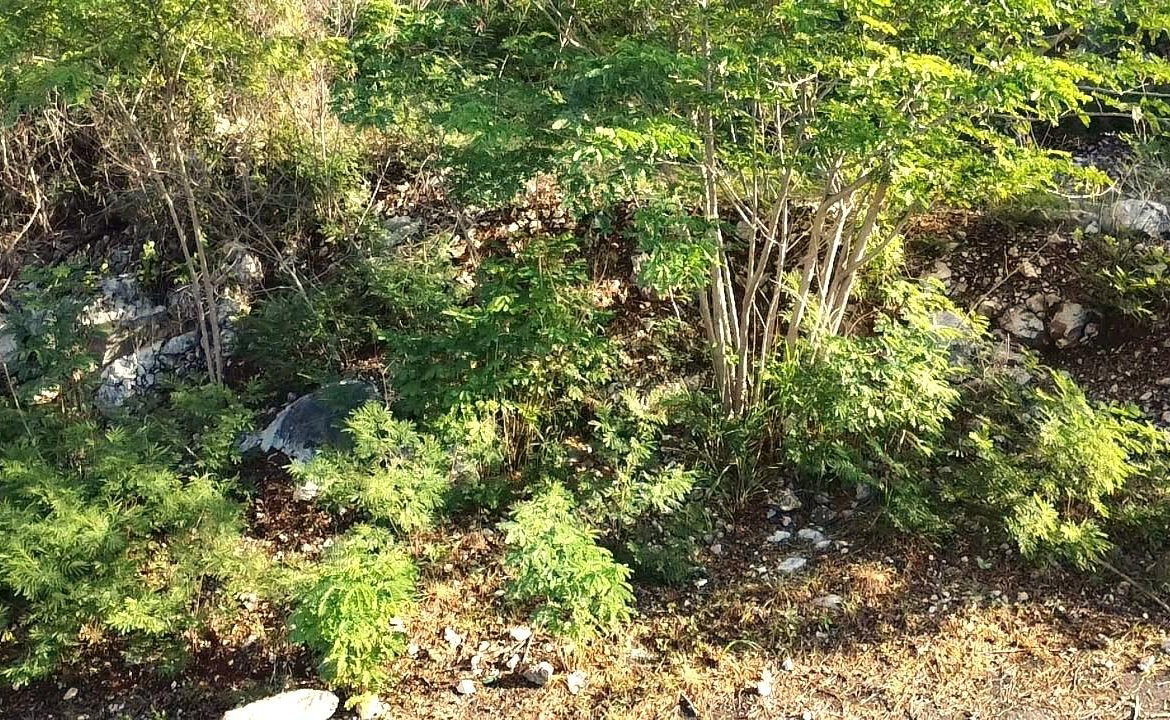 Third image of 72 Tom Cringle Drive in Red Hills, St. Andrew, Jamaica - property is For Sale