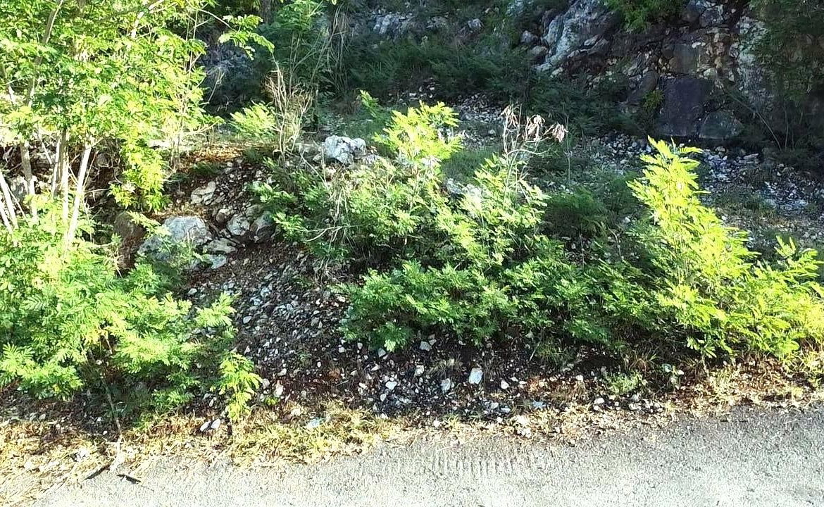 Fourth image of 72 Tom Cringle Drive in Red Hills, St. Andrew, Jamaica - property is For Sale