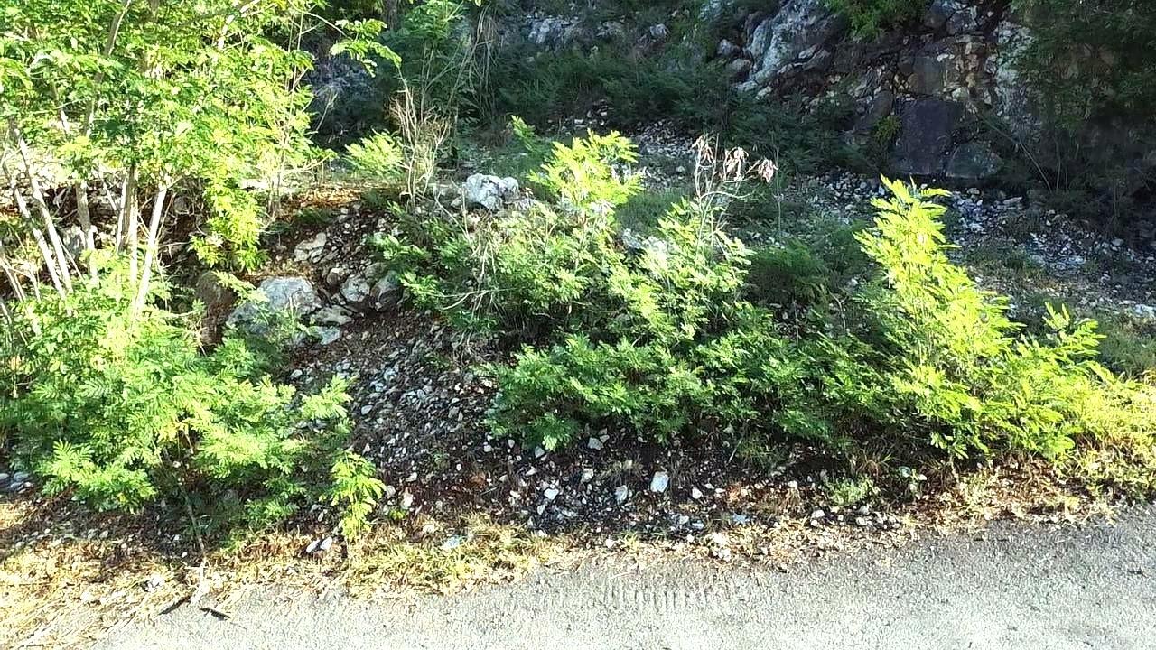 Residential-Lot-for-Sale-at-72-Tom-Cringle-Drive-St.-Andrew-Jamaica Fourth image of 72 Tom Cringle Drive in Red Hills, St. Andrew, Jamaica - property is For Sale