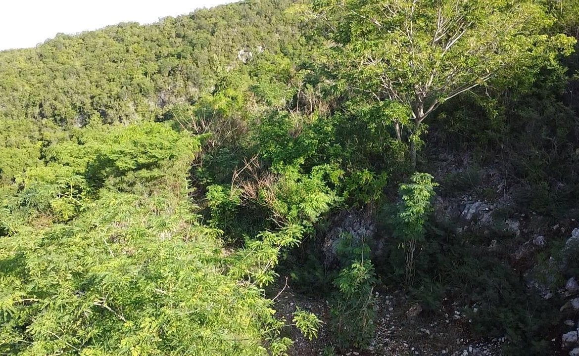 Eighth image of 72 Tom Cringle Drive in Red Hills, St. Andrew, Jamaica - property is For Sale