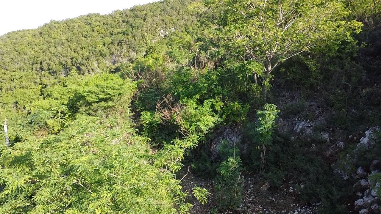 Residential-Lot-for-Sale-at-72-Tom-Cringle-Drive-St.-Andrew-Jamaica Eighth image of 72 Tom Cringle Drive in Red Hills, St. Andrew, Jamaica - property is For Sale