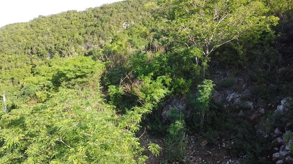 Eighth image of 72 Tom Cringle Drive in Red Hills, St. Andrew, Jamaica - property is For Sale