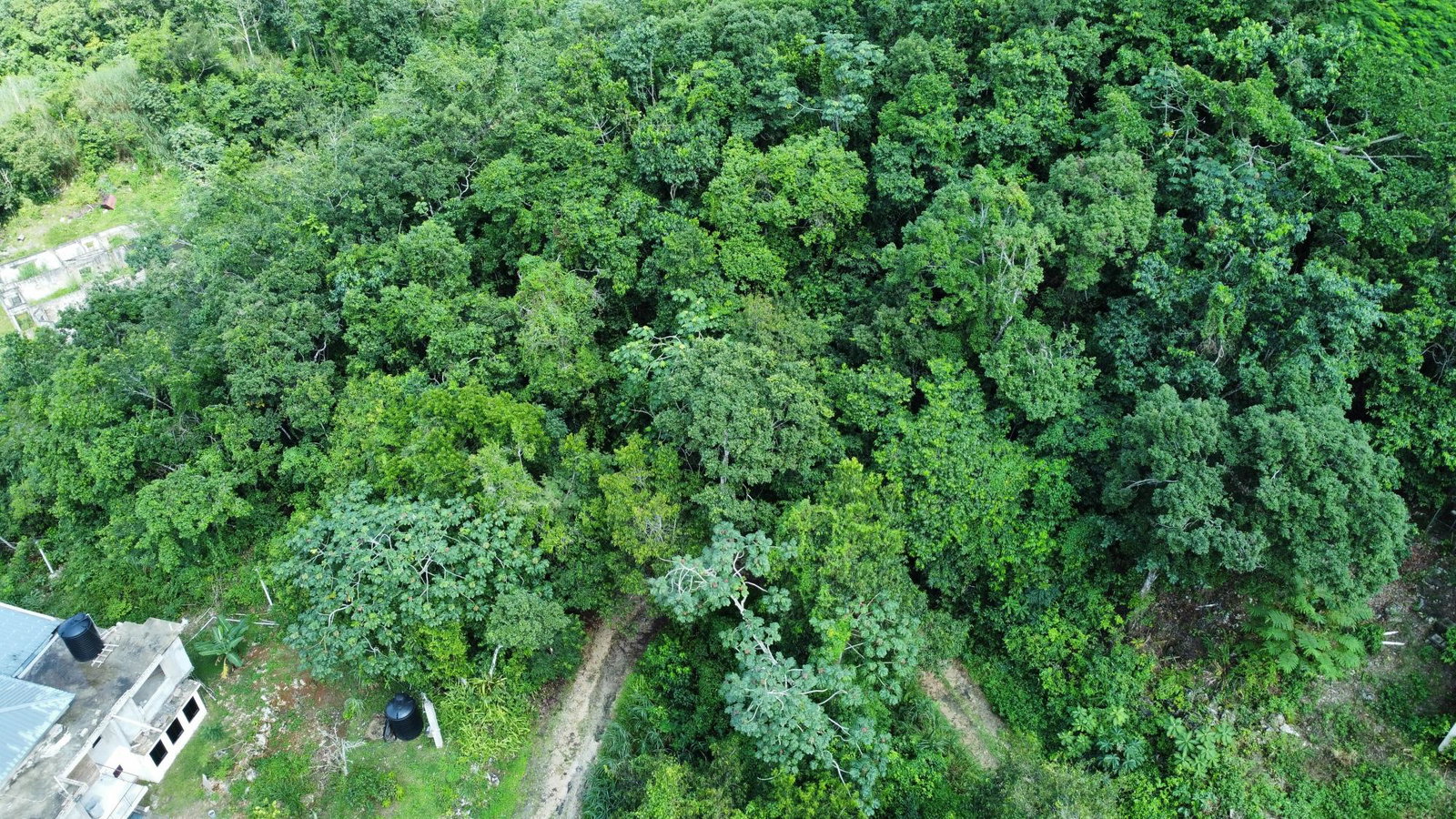 Residential-Lot-for-Sale-at-85-Coopers-Hill-St.-Andrew-Jamaica Second image of 85 Coopers Hill in Red Hills, St. Andrew, Jamaica - property is For Sale
