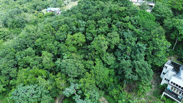 Third image of 85 Coopers Hill in Red Hills, St. Andrew, Jamaica - property is For Sale