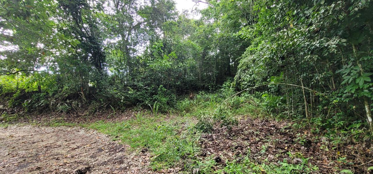 Residential-Lot-for-Sale-at-85-Coopers-Hill-St.-Andrew-Jamaica Sixth image of 85 Coopers Hill in Red Hills, St. Andrew, Jamaica - property is For Sale