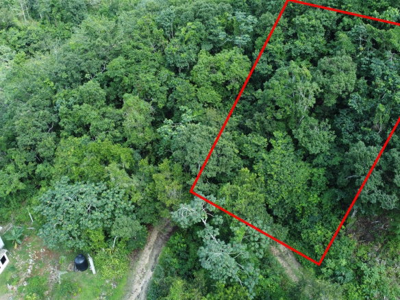 First image of 85 Coopers Hill in Red Hills, St. Andrew, Jamaica - property is For Sale