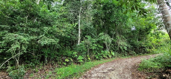 Seventh image of 85 Coopers Hill in Red Hills, St. Andrew, Jamaica - property is For Sale